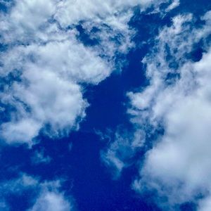 Meet your Posher, Ashlynn